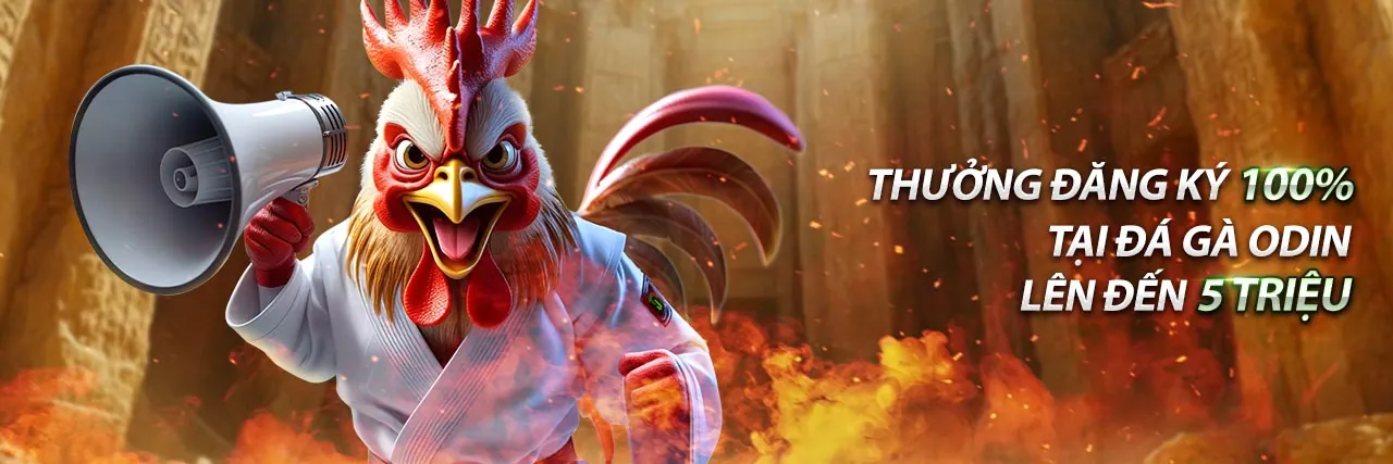 Sân đấu đá gà trực tuyến sôi động tại 5fund Win